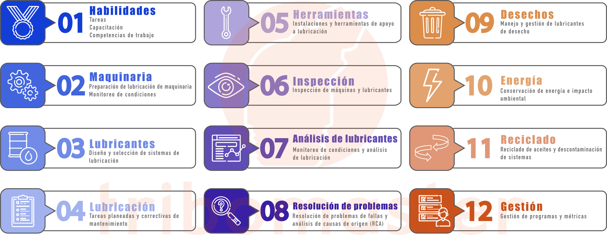 12 areas marca de agua 12 areas marca de agua