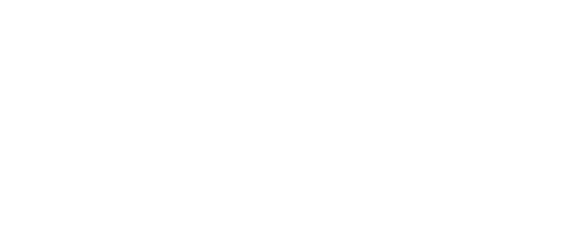 Asset Management Asset Management